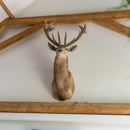 Hoeve De Zuidhoek بروج المظهر الخارجي الصورة