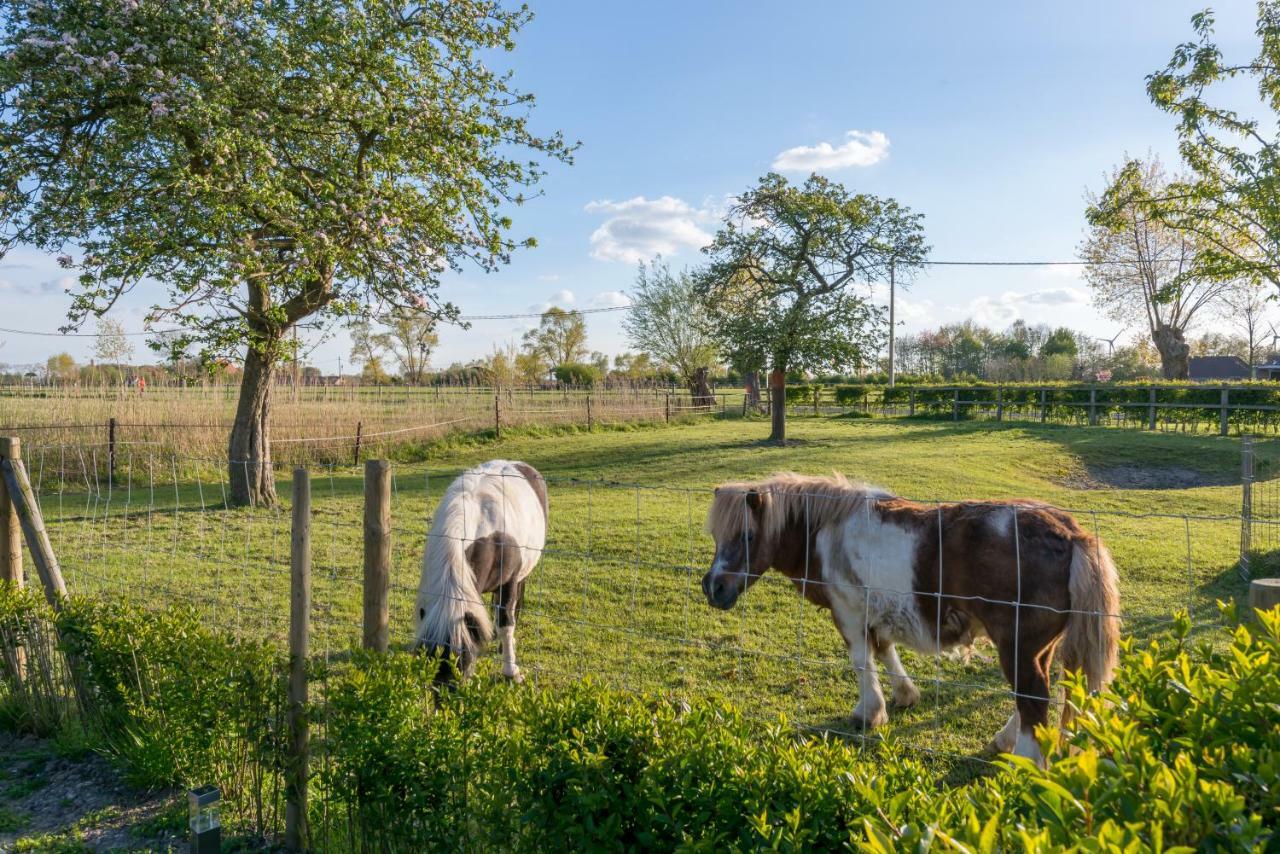 Hoeve De Zuidhoek بروج المظهر الخارجي الصورة
